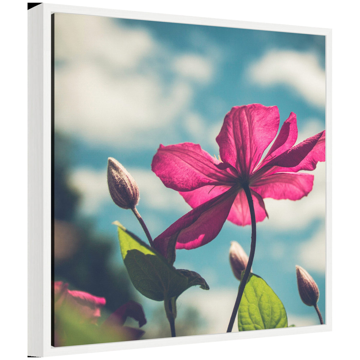 Sylvie Flower in the Sky Framed Canvas by Stephanie Klatt
