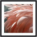 Flamingo No. 1 by Alicia Bock Framed Wall Art Print