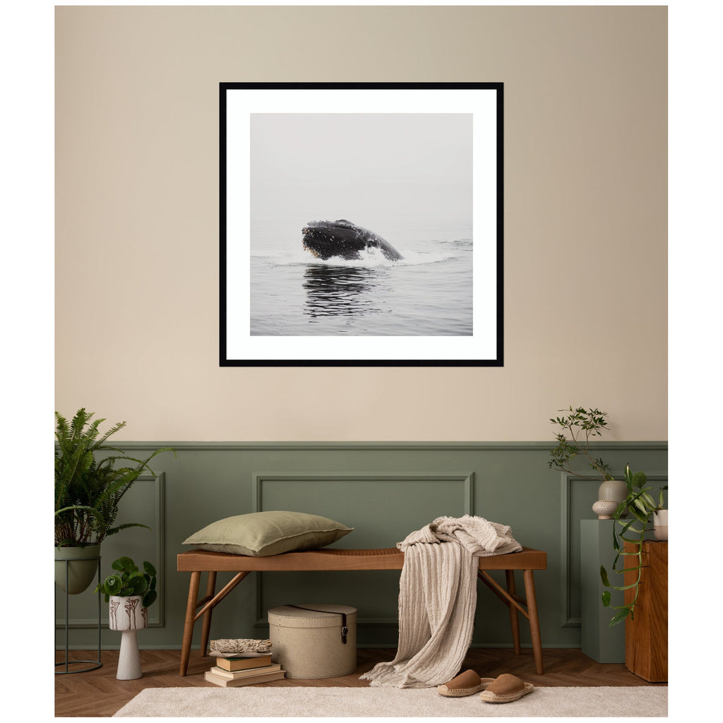 Humpback Whale No. 4 by Laura Evans Framed Wall Art Print