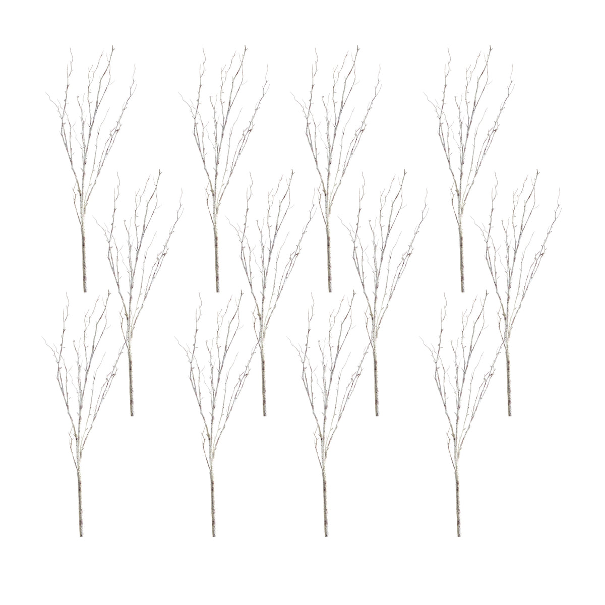 Birch Branch (Setof 12)