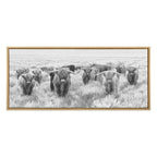 Sylvie Herd of Highland Cows Black and White Framed Canvas by The Creative Bunch Studio