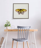 Sylvie Limon Framed Canvas by Robert Cadloff of Bomobob