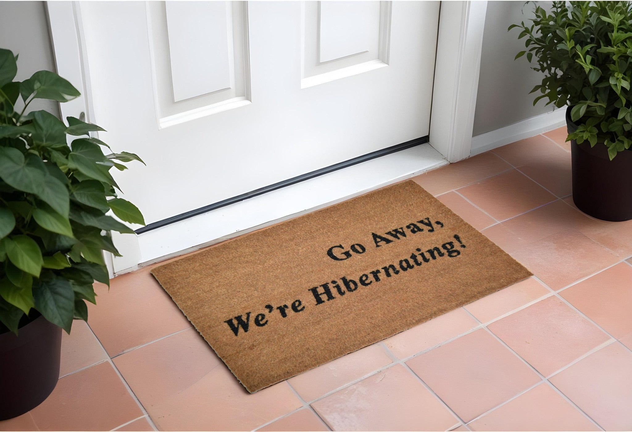 18'' X 30'' Brown and Black Coir Go Away We Are Hibernating Outdoor Door Mat
