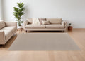 10' X 14' Ivory and Tan Hand Woven Area Rug