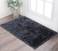 2 X 3 Black Area Rug