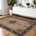 4' X 6' Black and Ivory Oriental Area Rug