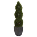 5 Double Pond Cypress Spiral Topiary Artificial Tree In Black Wash Planter Uv Resistant (Indoor/Outdoor)