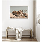 Joshua Tree No. 3 by Alicia Bock Framed Canvas Wall Art Print