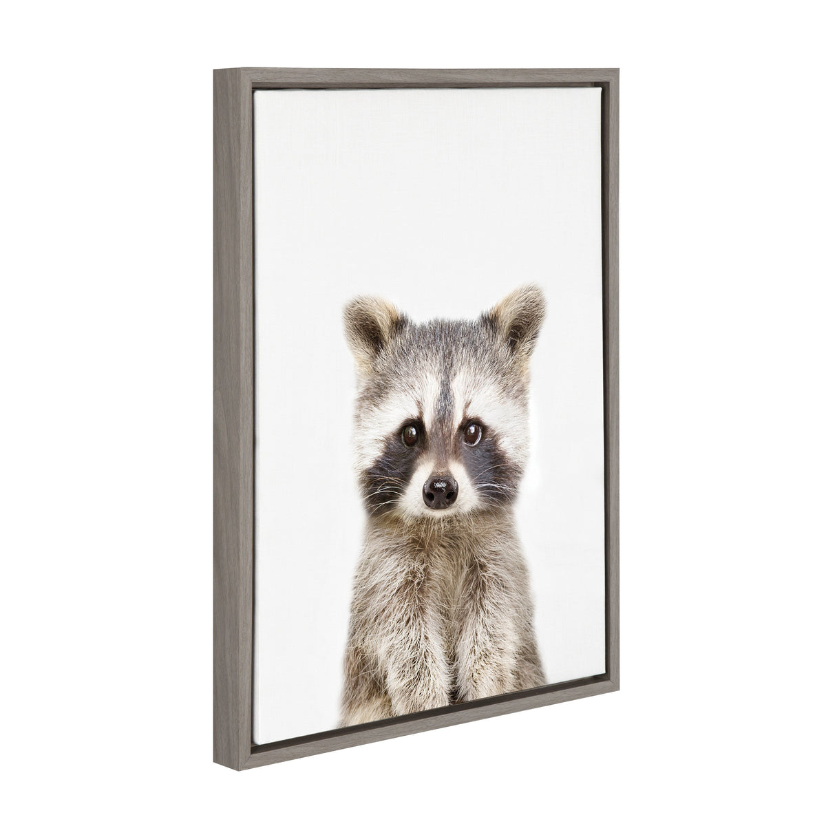 Sylvie Raccoon Framed Canvas by Amy Peterson Art Studio
