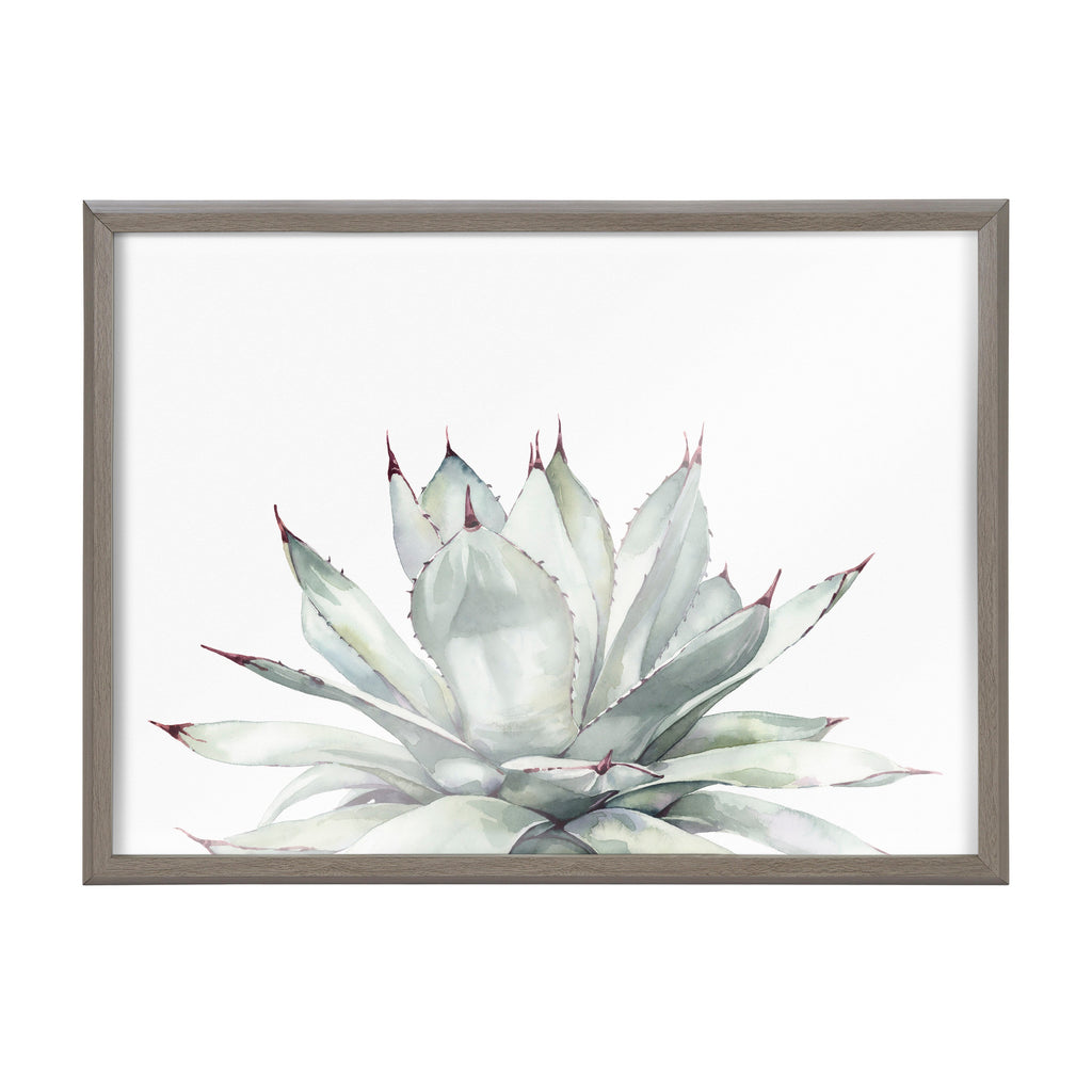 Blake Parrys Agave Framed Printed Glass by Emily Marie Watercolors