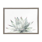 Blake Parrys Agave Framed Printed Glass by Emily Marie Watercolors