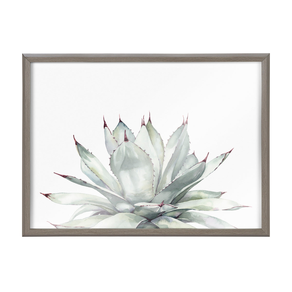 Blake Parrys Agave Framed Printed Glass by Emily Marie Watercolors