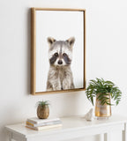 Sylvie Raccoon Framed Canvas by Amy Peterson Art Studio