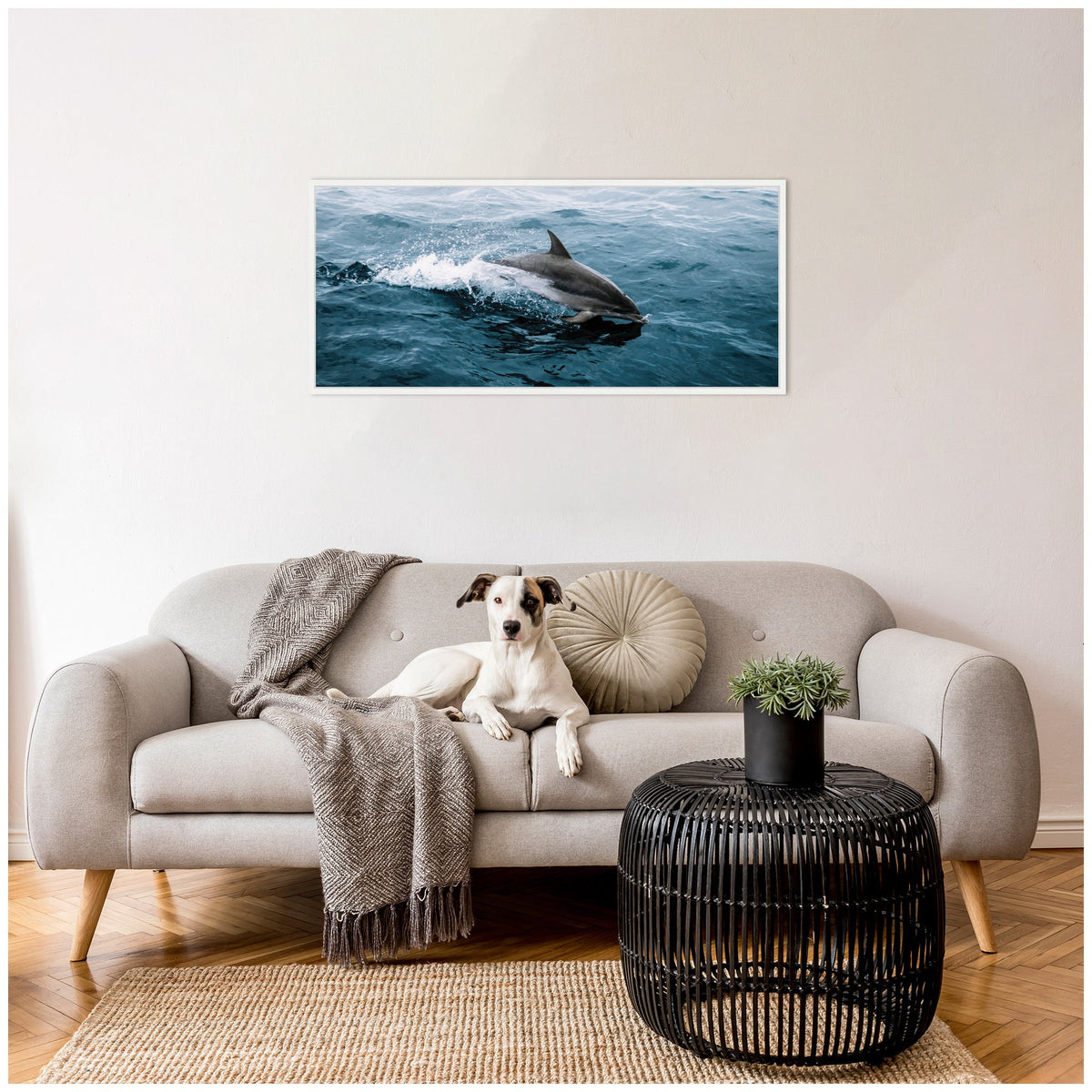 Sylvie Dolphin Skipping along in the Ocean Framed Canvas by Michael Schauer
