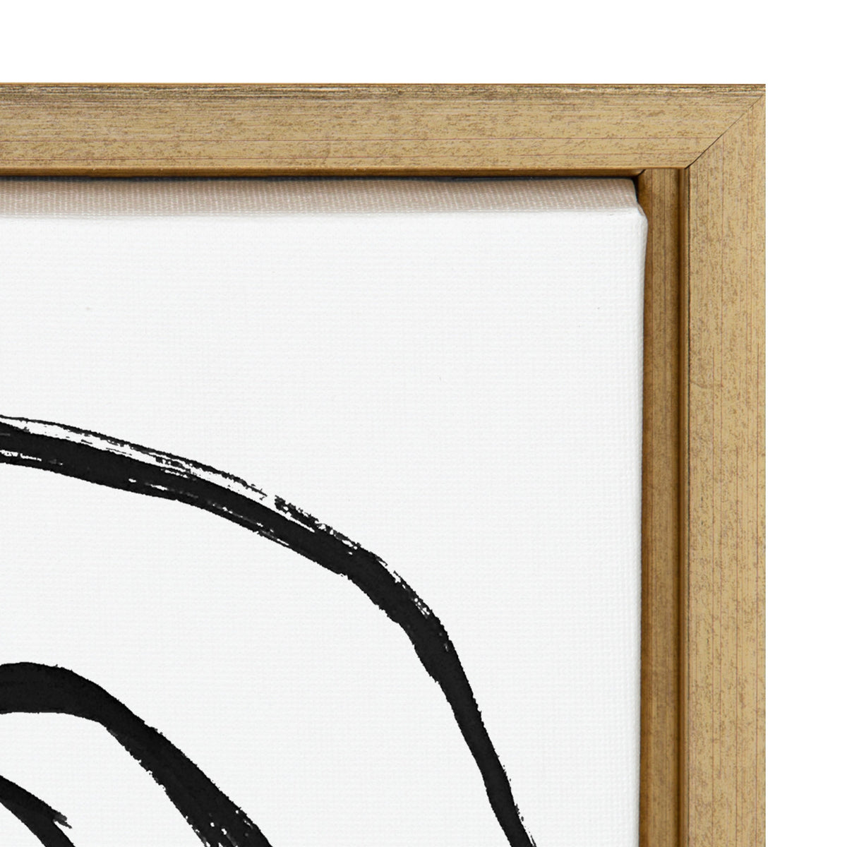 Sylvie Ring of Light 2 Framed Canvas by Nikki Chu