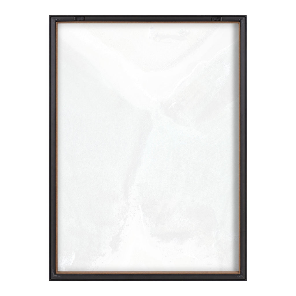Blake Poipu Beach Framed Printed Art by Rachel Bolgov