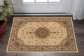 3 X 4 Tan And Brown Oriental Area Rug