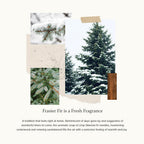 Thymes Luminary Frasier Fir Candle - Scented Candle - Luxury Home Fragrance - Home Decor & Bathroom Accessories - Frasier Fir Pi