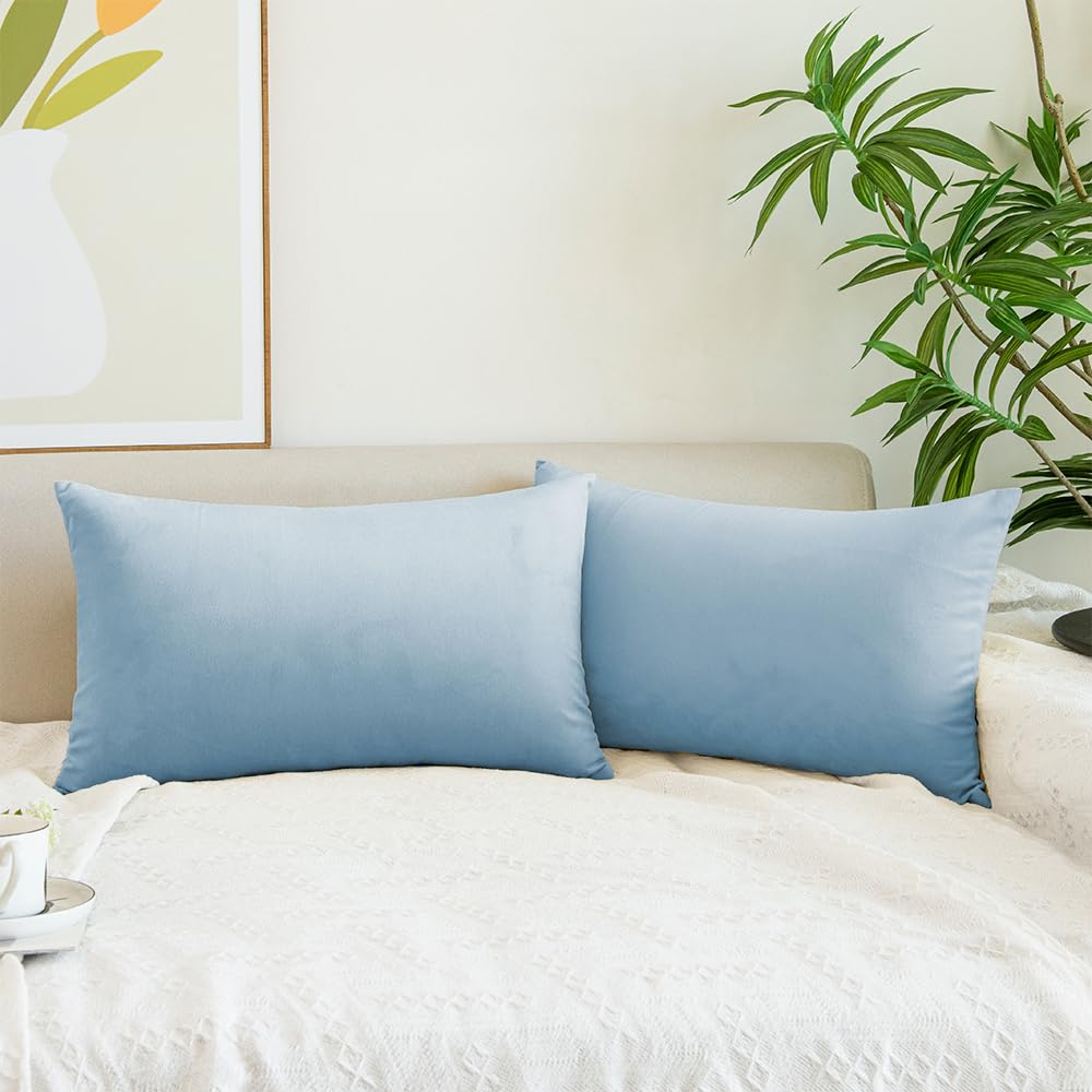 Quorgves Light Blue Throw Pillows Spring Light Blue Pillow Covers 12X20 Inch Pack Of 2 Soft Velvet Lumbar Solid Sky Blue Throw P