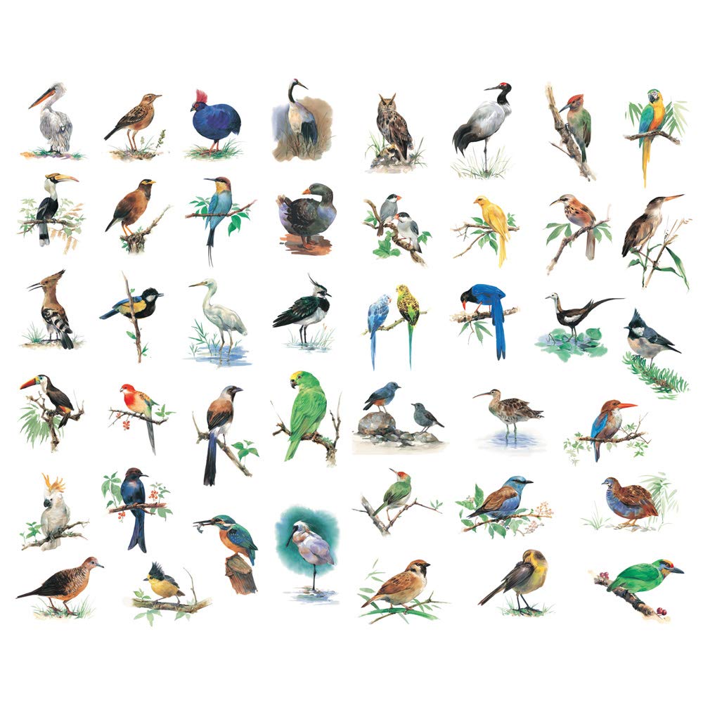 Seasonstorm Watercolor Birds Precut Cute Aesthetic Diary Travel Paper Junk Journal Stickers Scrapbooking Stationery Sticker Flak