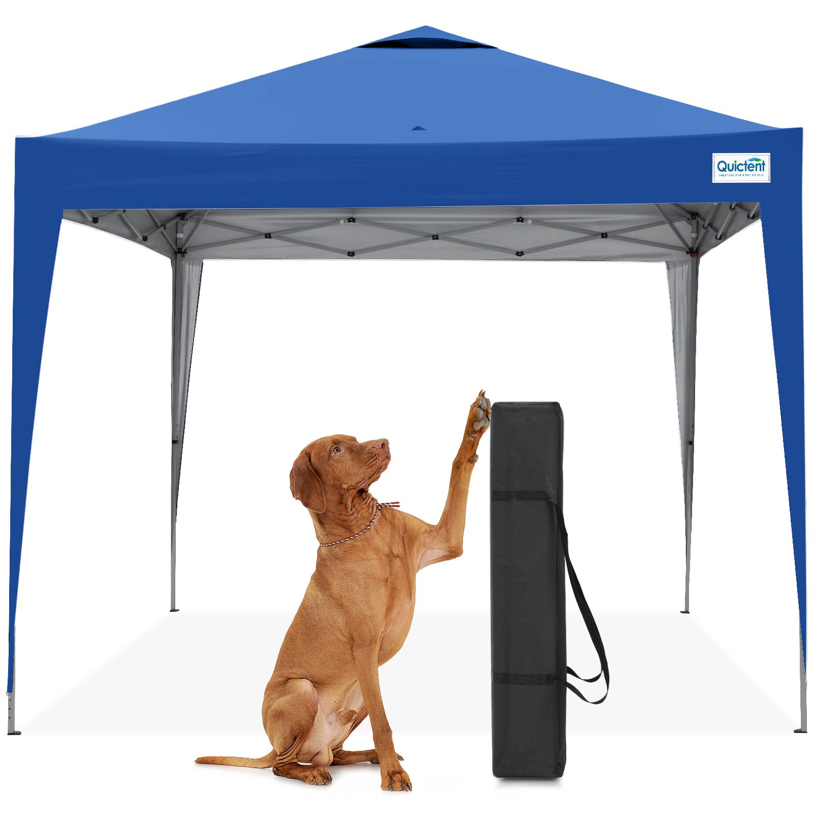 Quictent 10x10 Pop Up Canopy Tent - Instant Setup Gazebo for 1 Person, Portable & Compact, Waterproof & UV Protection, Ideal for