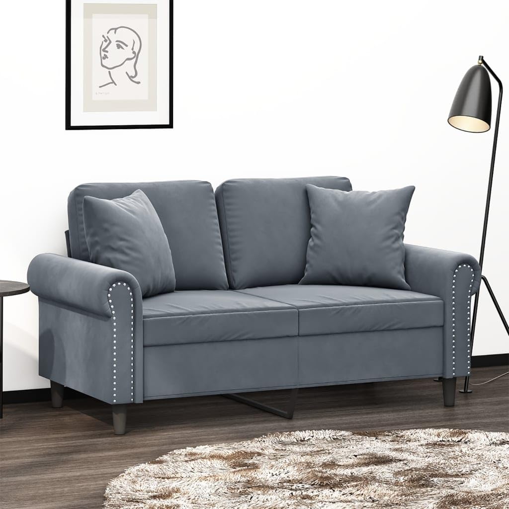 vidaXL Modern 2-Seater Sofa in Luxurious Dark Gray Velvet with Sturdy Metal Frame Including Throw Pillows for Living Room, Lounge Area