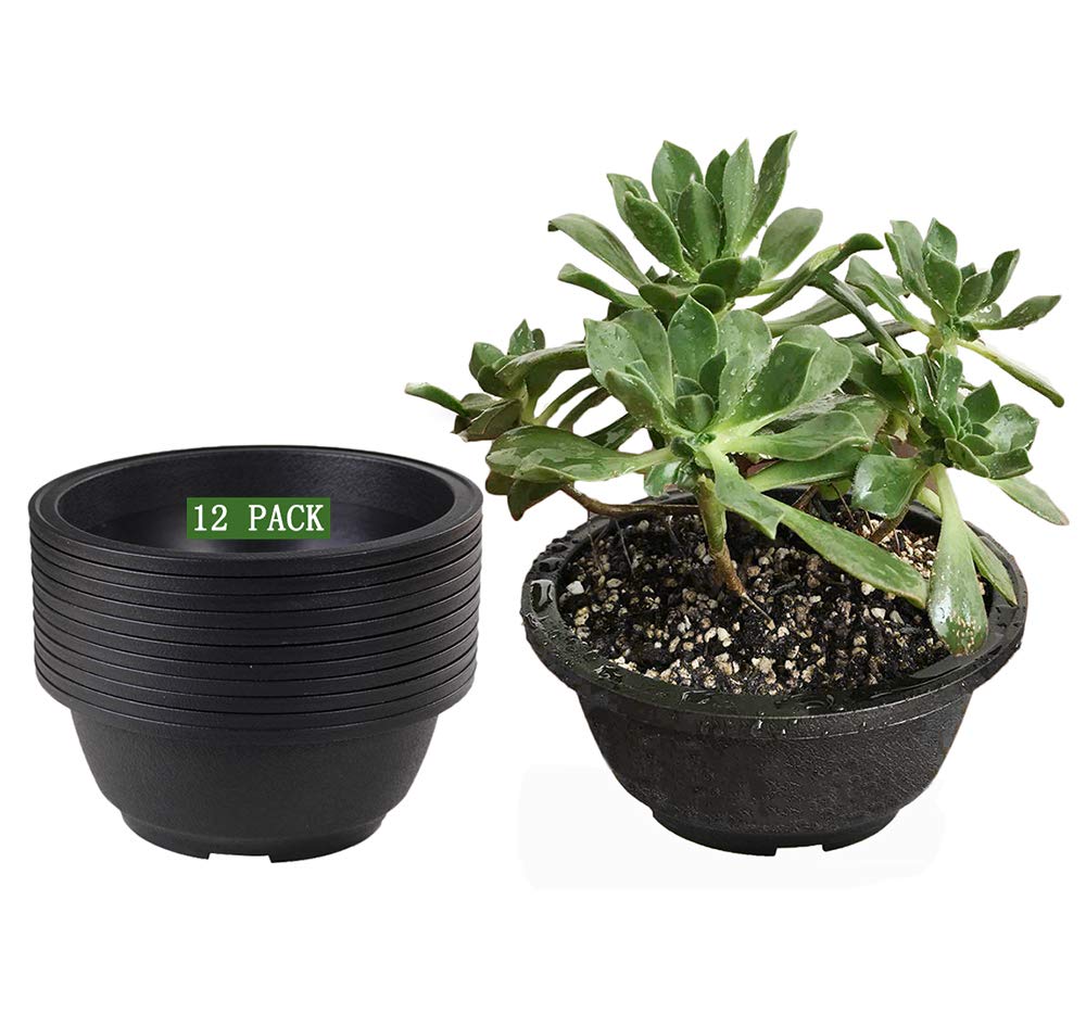 Muzhi 12Pack Matte Black Succulent Bonsai Round Planter Bowl Pot With Drainage, Plastic Cactus Flat Garden Plant Bowl Pots 6.3