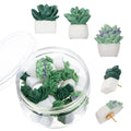 Succulent Push Pins, Dremisi 20 Pcs Succulent Plants Decorative Push Pins Succulent Tacks Floret Thumbtacks Cute Thumb Tacks For