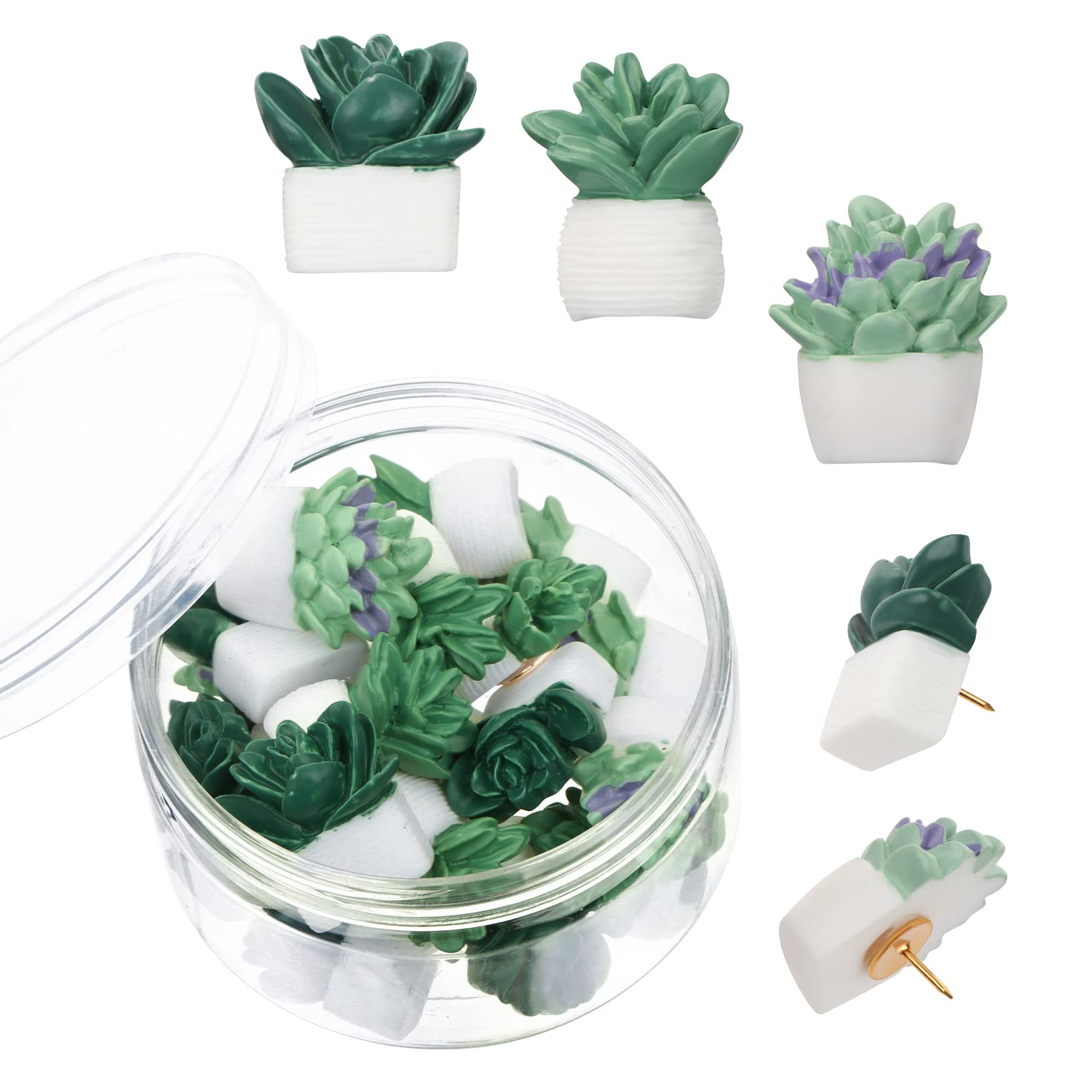 Succulent Push Pins, Dremisi 20 Pcs Succulent Plants Decorative Push Pins Succulent Tacks Floret Thumbtacks Cute Thumb Tacks For