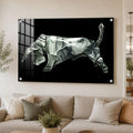 DesignSkinz Wall Art | Acrylic Glass Printed Art | Modern Decor for Living Room, Bedroom, Office, Study, Shelf (60x45inch)  Bul