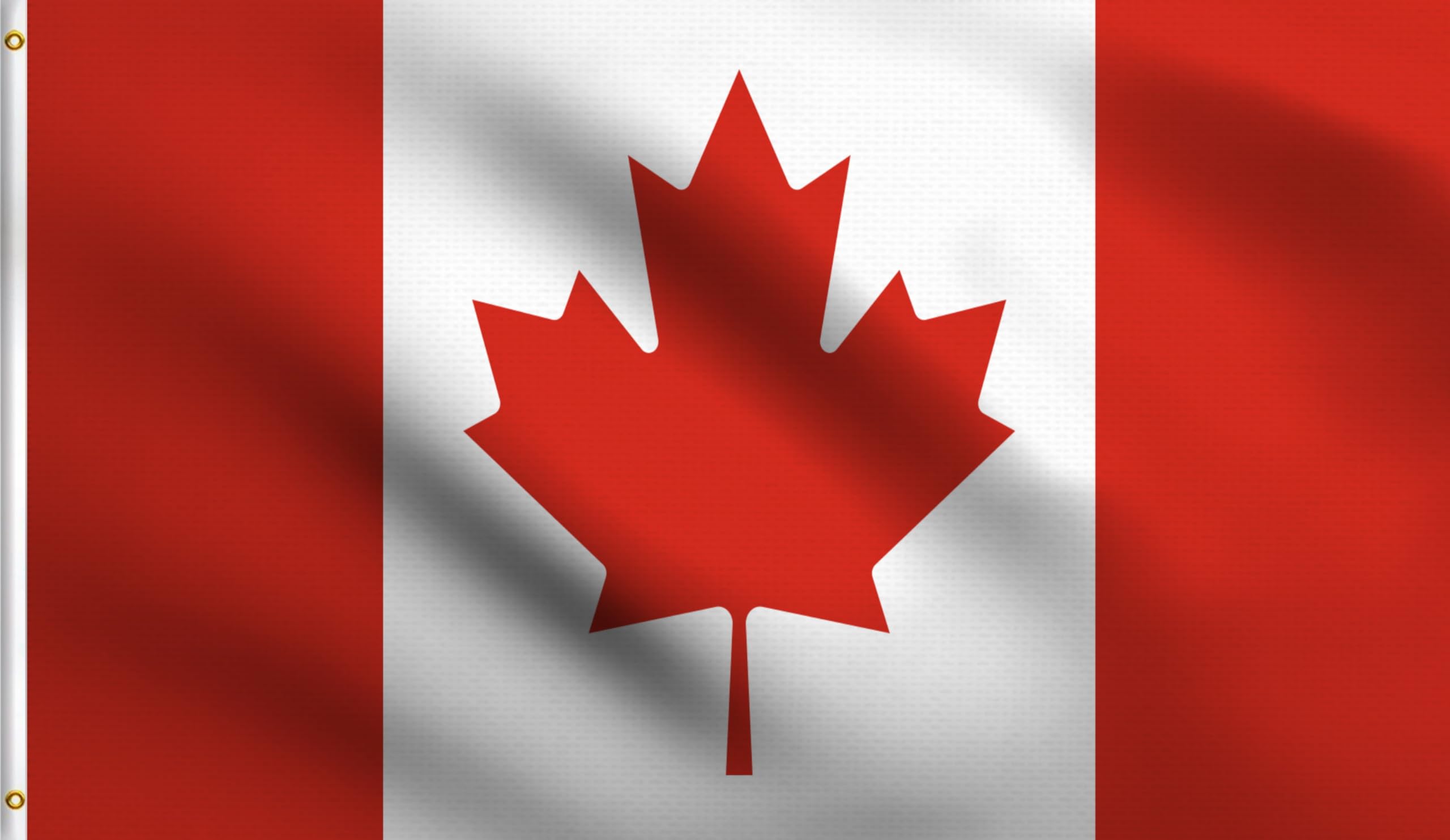 Dmse Canada Canadian Maple Leaf Flag Le Drapeau Du National 4X6 Ft Foot 100% Polyester 100D Flag Banner Uv Resistant (4' X 6' Ft