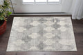 2 X 3 Gray And Beige Moroccan Area Rug