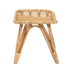 Baxton Studio Earvin Modern Bohemian Natural Brown Rattan 2-Piece Armchair And Footstool Set