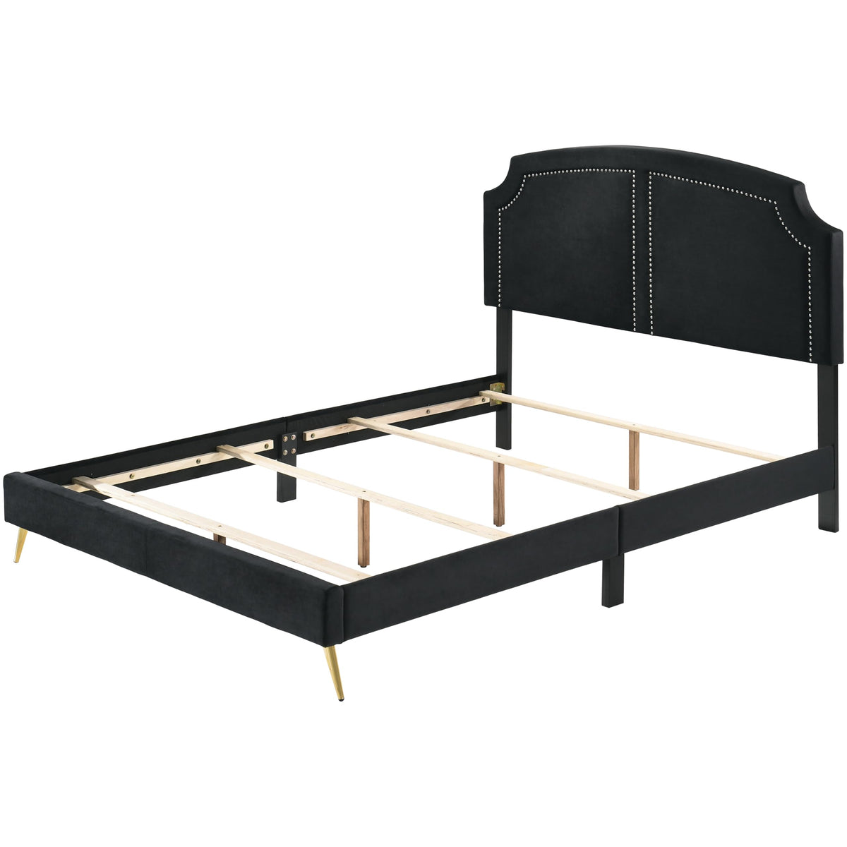 Acme Zeena Queen Bed in Black Velvet