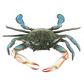 TG,LLC Treasure Gurus Large Maryland Blue Crab Nautical Home Wall Plaque Coastal Tiki Bar Beach House Decor