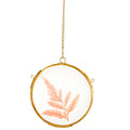 NCYP Small Double Glass Floating Frame for Pressed Dried Flowers, Plants Specimen, Photo, Picture - Diameter 4.3 Inches - Round 