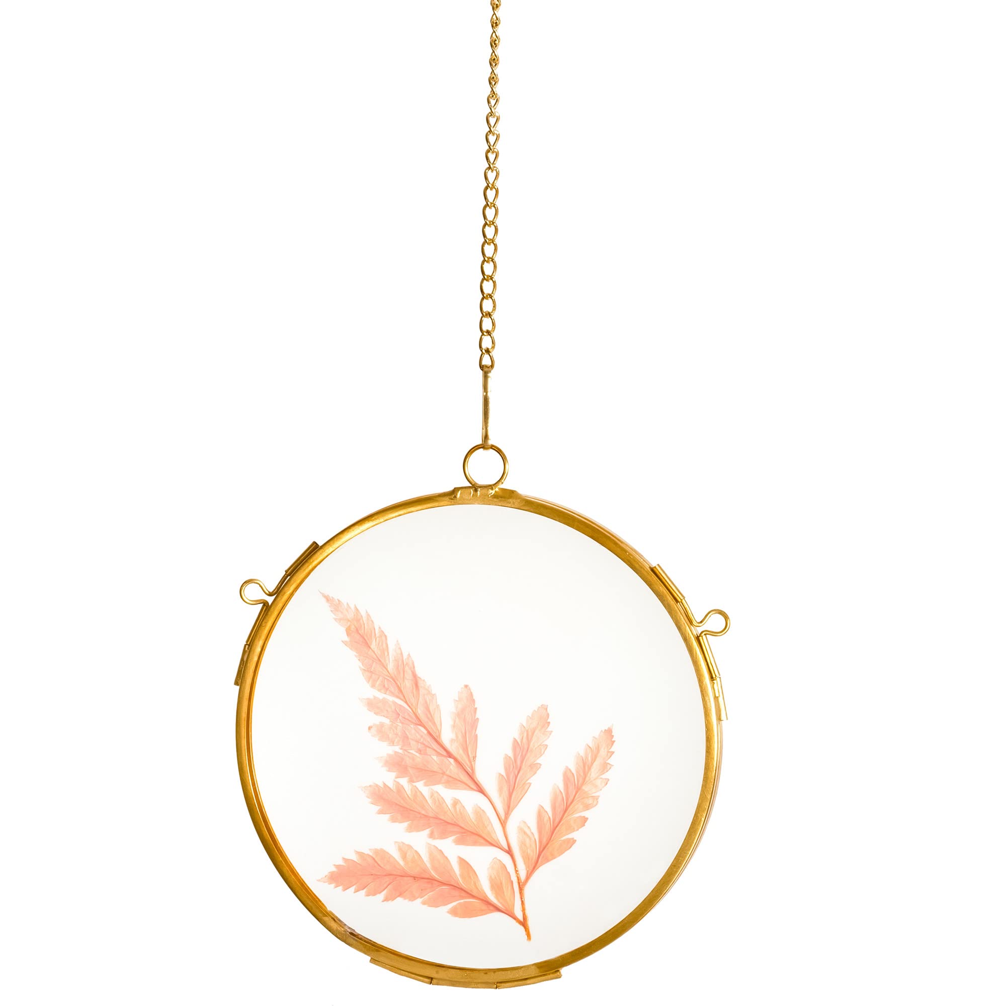 NCYP Small Double Glass Floating Frame for Pressed Dried Flowers, Plants Specimen, Photo, Picture - Diameter 4.3 Inches - Round 