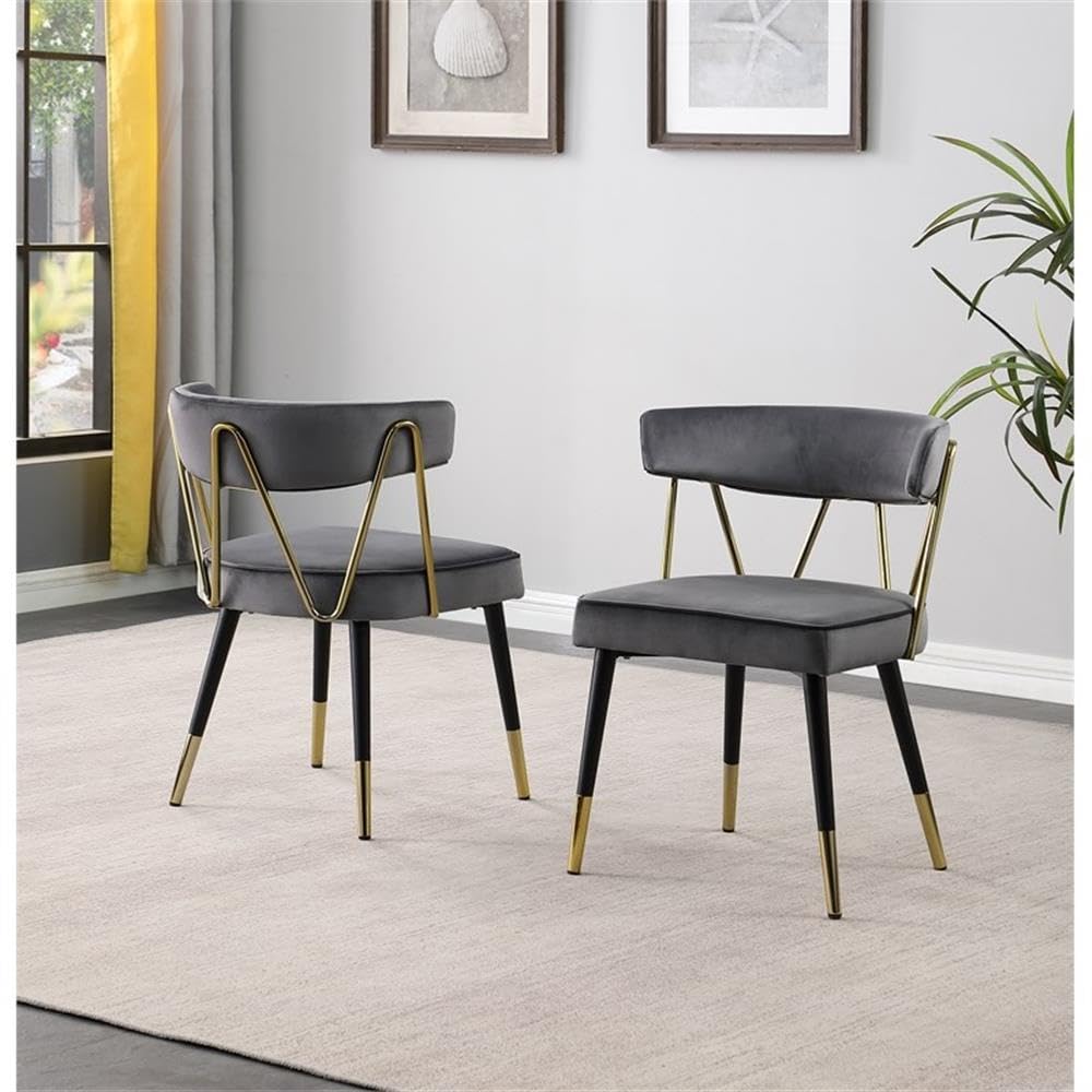 Best Master Furniture Meyer Velvet Side Chair with Gold Accents (Set of 2) Grey/Gold