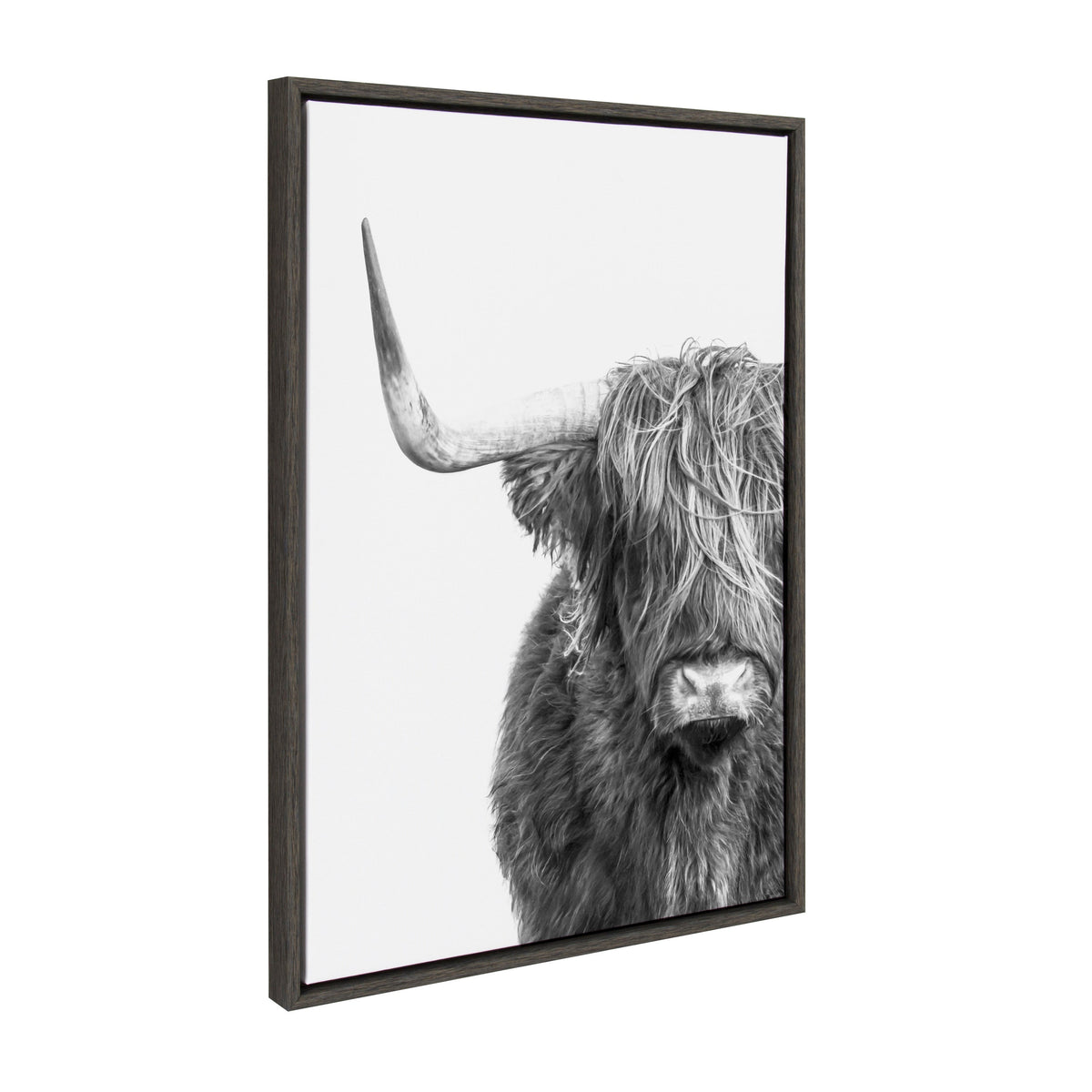 Sylvie Highland Cow Framed Canvas by Amy Peterson Art Studio