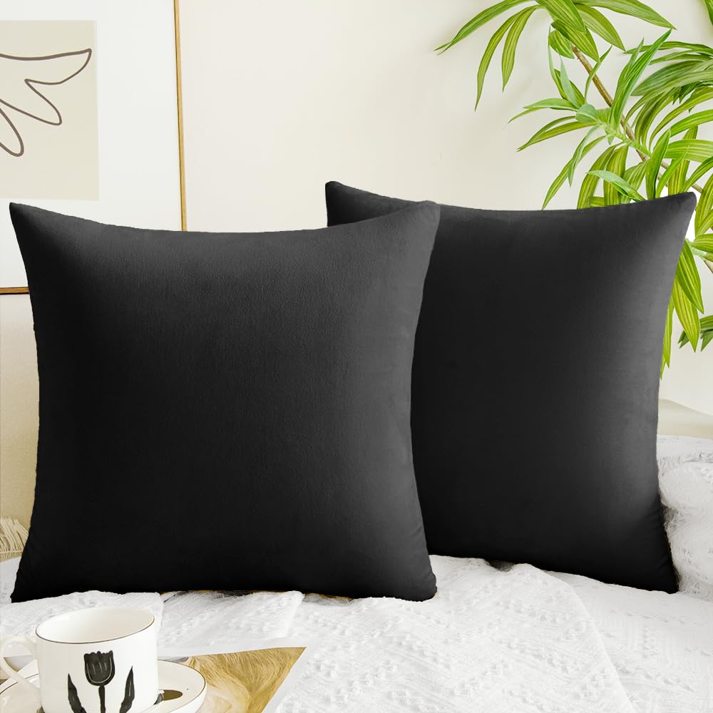 Quorgves Black Pillow Covers 22X22 Inch Pack Of 2 Black Throw Pillows For Couch Living Room Bed Bedroom Soft Velvet Square Throw