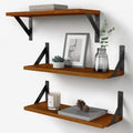 Forbena Walnut Brown Wall Bookshelf for Bedroom, Wooden Floating Book Shelves for Office, Small Wall Shelving Unit for Living Ro
