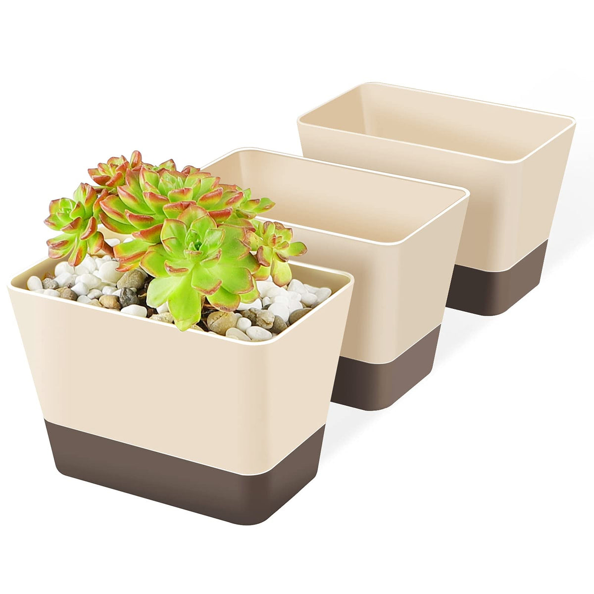 Suream Succulent Pots With Tray, 3 Pack 6 X3.8 Inch Herb Window Boxes Office Cactus Planters Plastic Rectangle Plants Containers