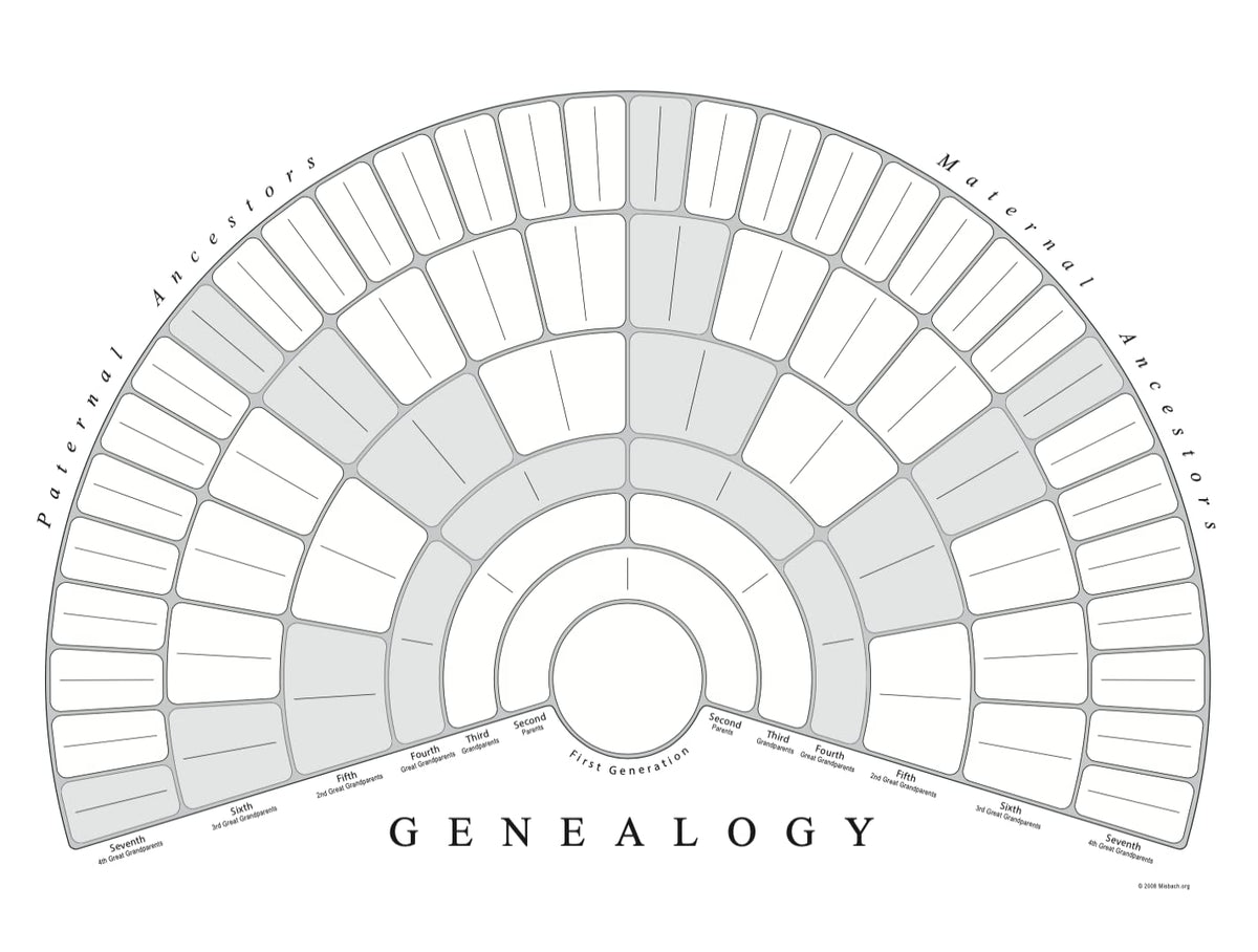 Treeseek Family Tree Chart Blank Genealogy Fan Chart Poster For Ancestry And Family History Research. 7 Generations To Fill In P