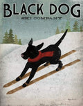 Picture Peddler Black Dog Ski Ryan Fowler Skiing Labrador Pets Animals Print Poster 12x12