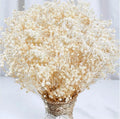 4000+ Dried Babys Breath Flowers Bulk - 17'' Ivory White Dried Flower Bouquet, Real Natural Gypsophila Branches for Vase Filler,