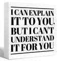 Funny Office Wood Box Sign I Can't Explain It to You but I Can't Understand It for You Wooden Block Sign Humorous Desk D  cor fo