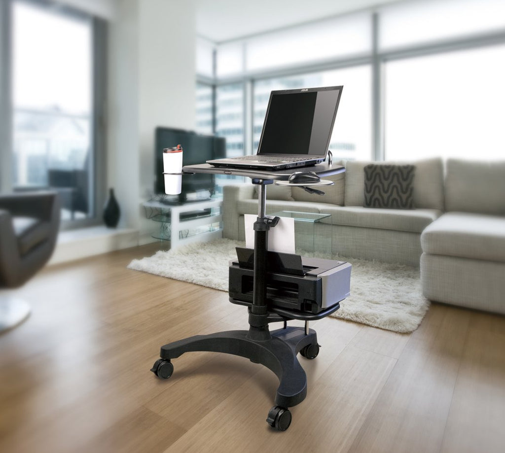 Aidata Ergonomic Sit-Stand Mobile Laptop Cart Work Station with Printer Shelf, Black, LPD009P