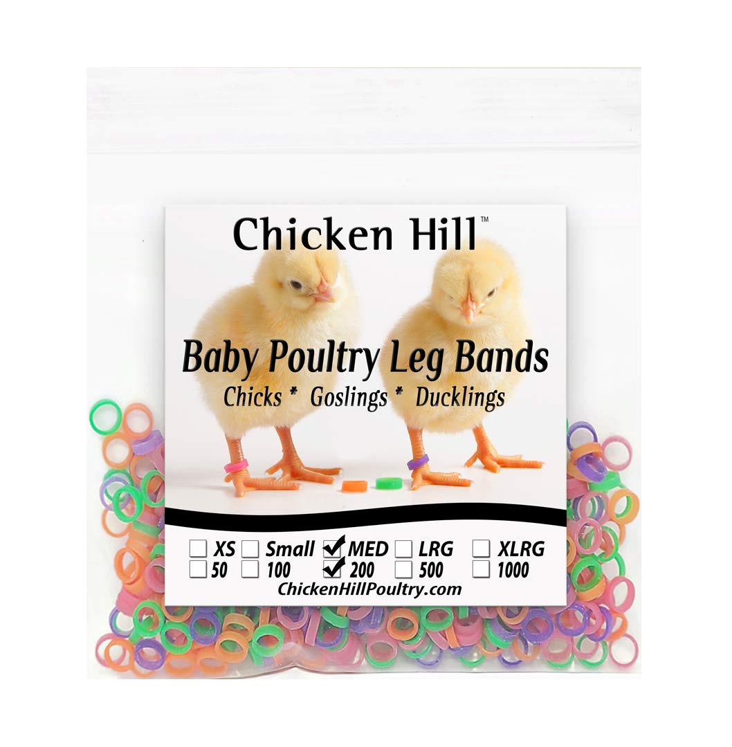 Baby Poultry Leg Bands 1/4' Medium Chick (200)