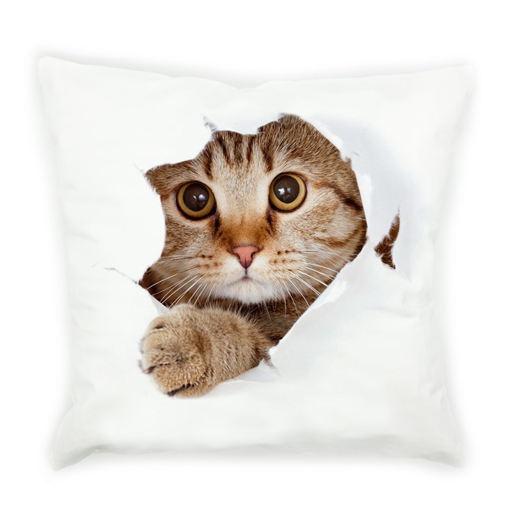 Vipbuy Super Soft Short Plush Square Decorative Throw Pillow Case Sofa Waist Cushion Cover 18' X 18' (3D Cat)