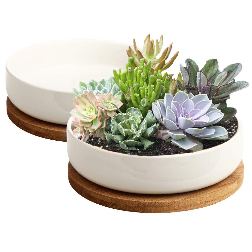 Zoutog Succulent Pots, 6 Inch White Ceramic Flower Planter Pot With Bamboo Tray, Pack Of 2 - Plants Not Included
